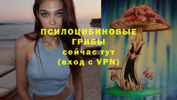 гидропоника Абаза
